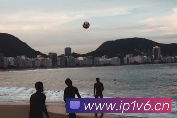 九游官网登录入口网页服务体系